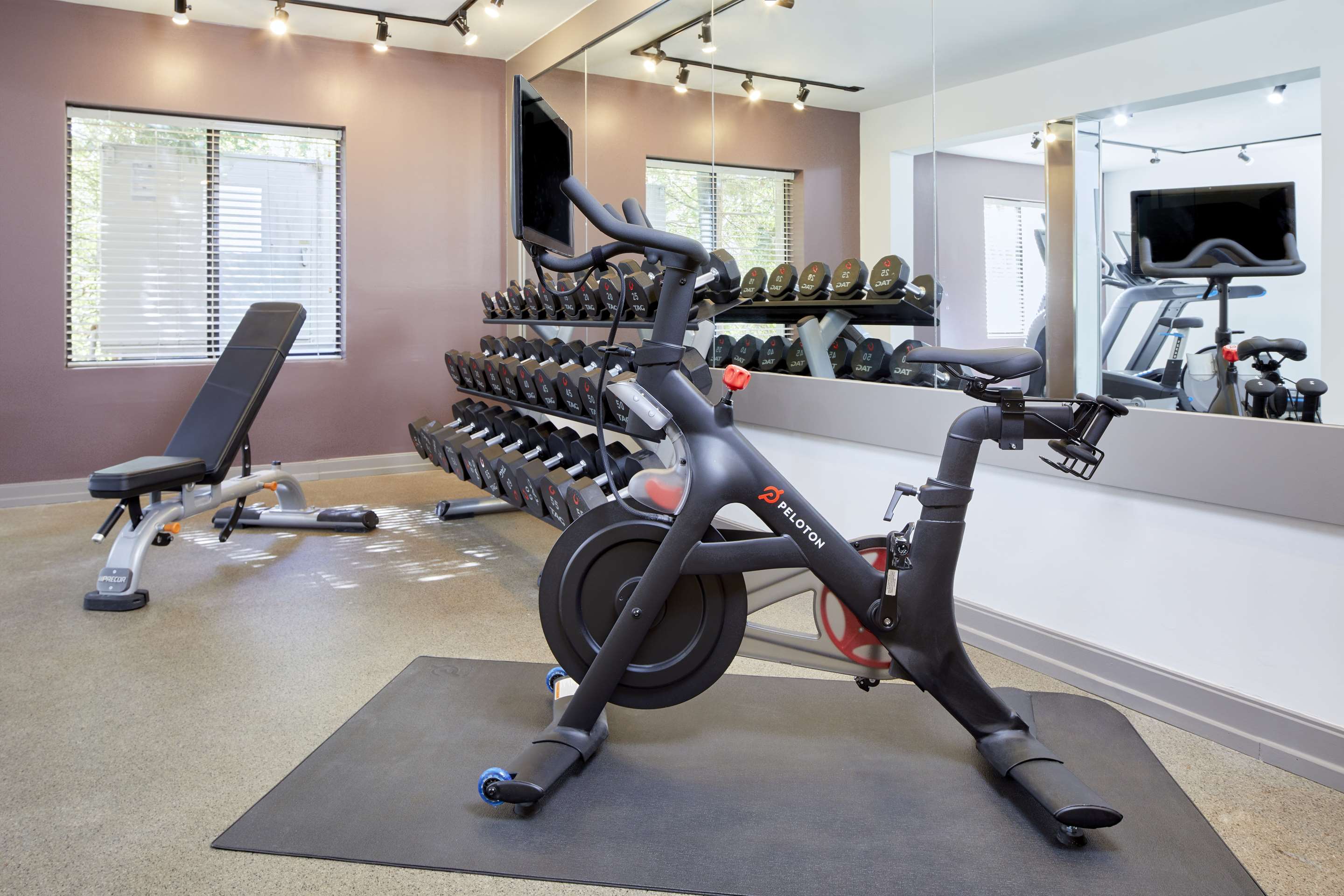 Health club fitness center gym | DoubleTree by Hilton Atlanta - Alpharetta