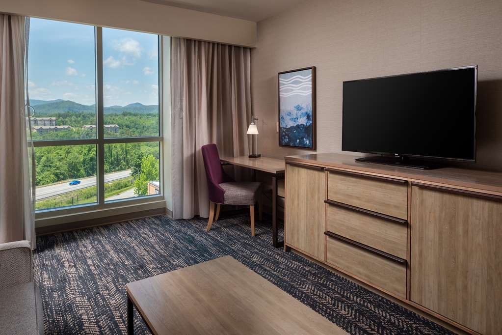 Hilton Asheville Biltmore Park Room Type - 1KG STE MOB HEAR ACC TUB