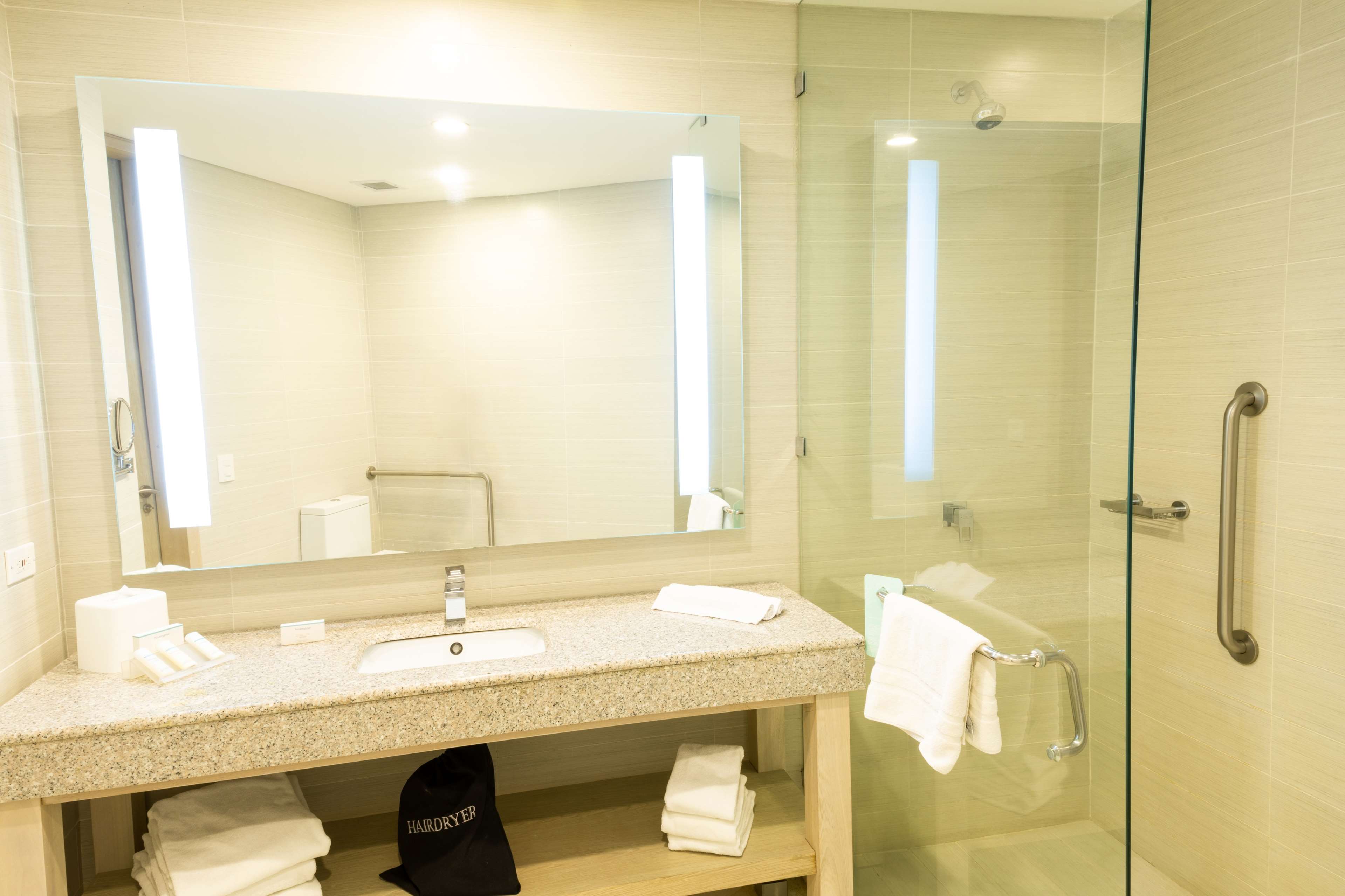 Hilton Garden Inn Barranquilla Room Type - 1KNG MOB HEARNG ACC RI-SHW