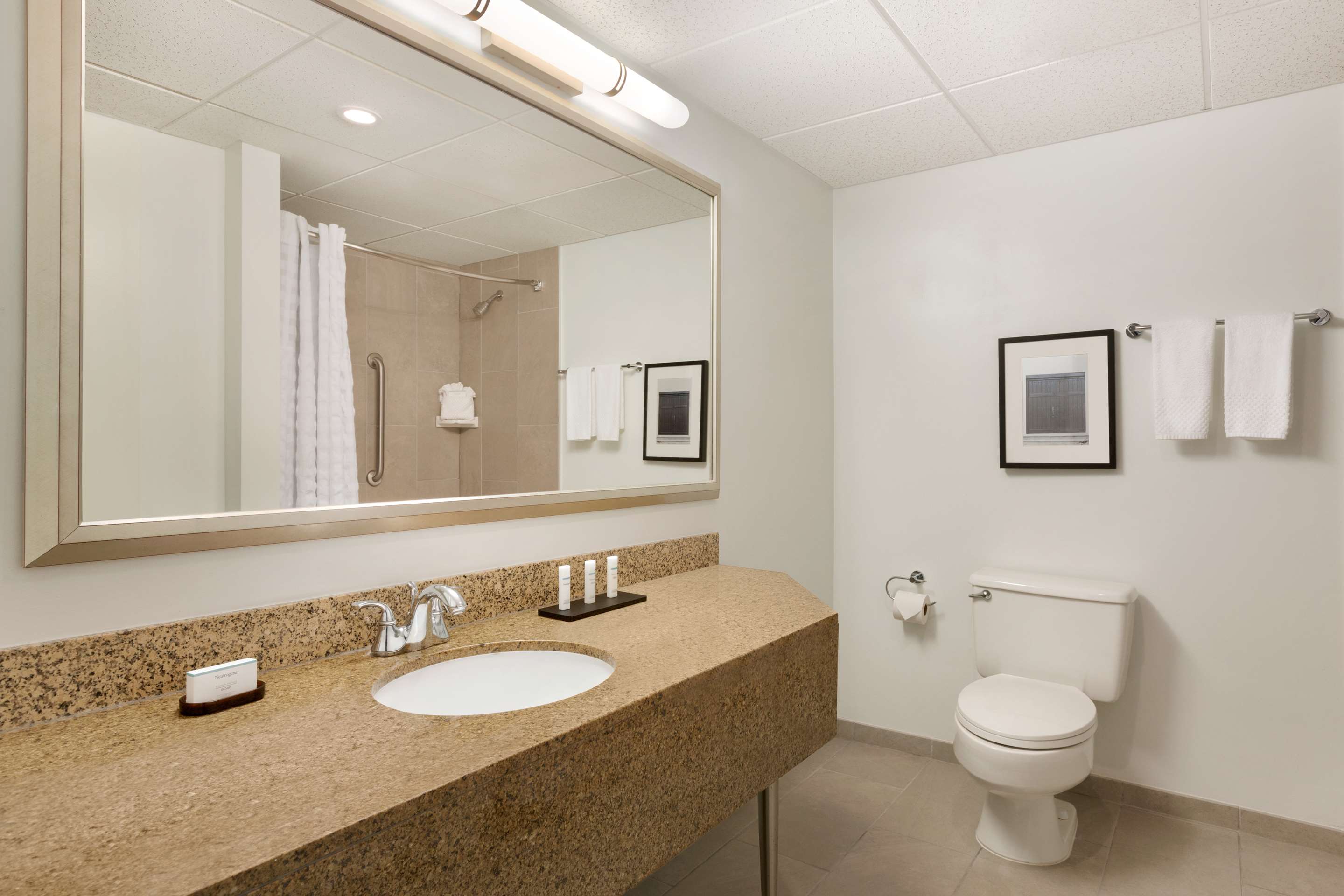 Guest room bath
