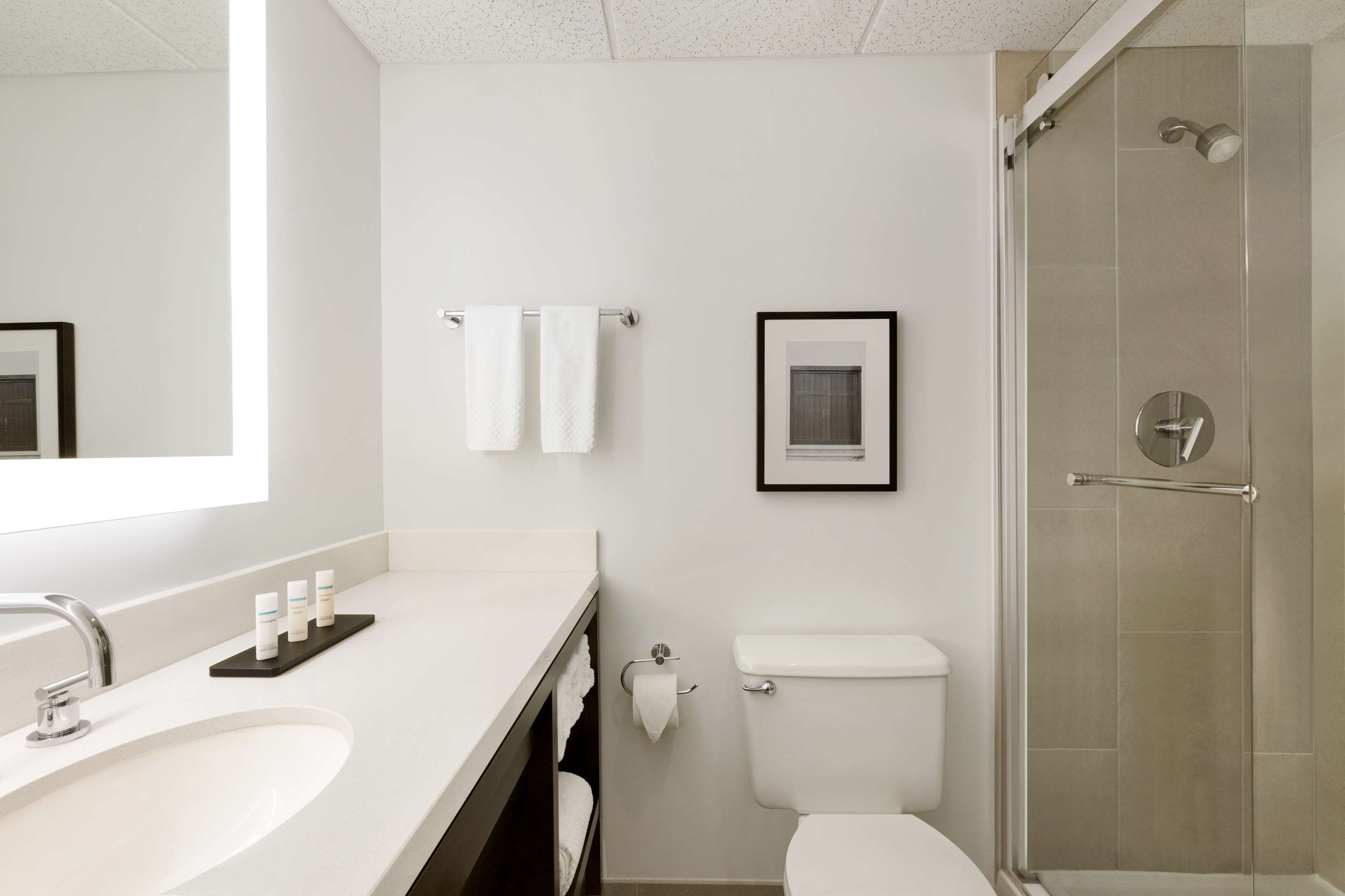 Guest room bath