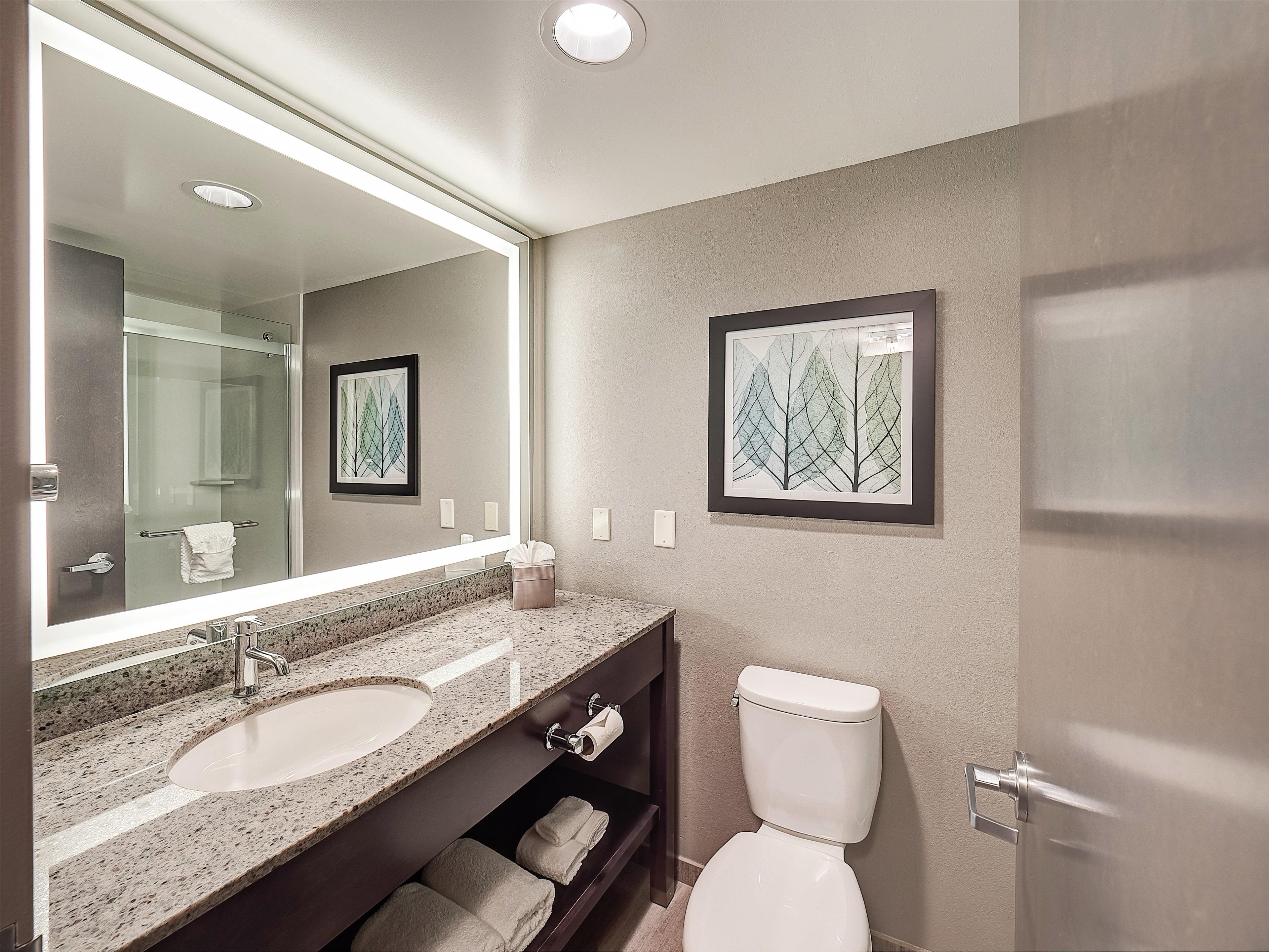 Guest room bath