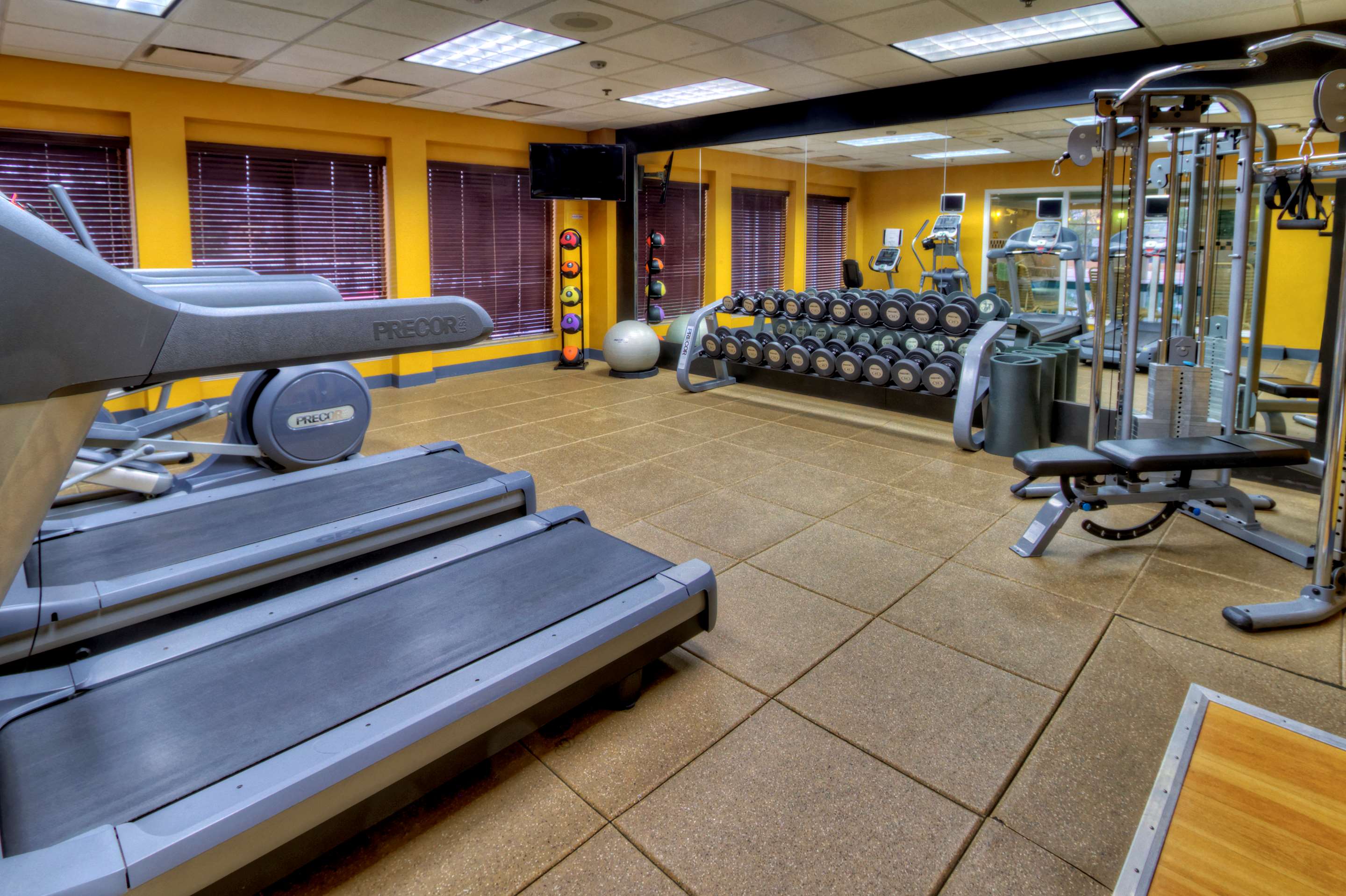 Health club fitness center gym