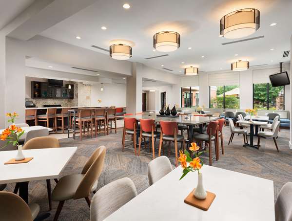 Bar - Hilton Garden Inn Cool Springs Franklin - I-65, Exit 69