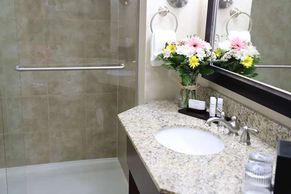  - Embassy Suites Westend Nashville - I-40 & I-65, Exit 209