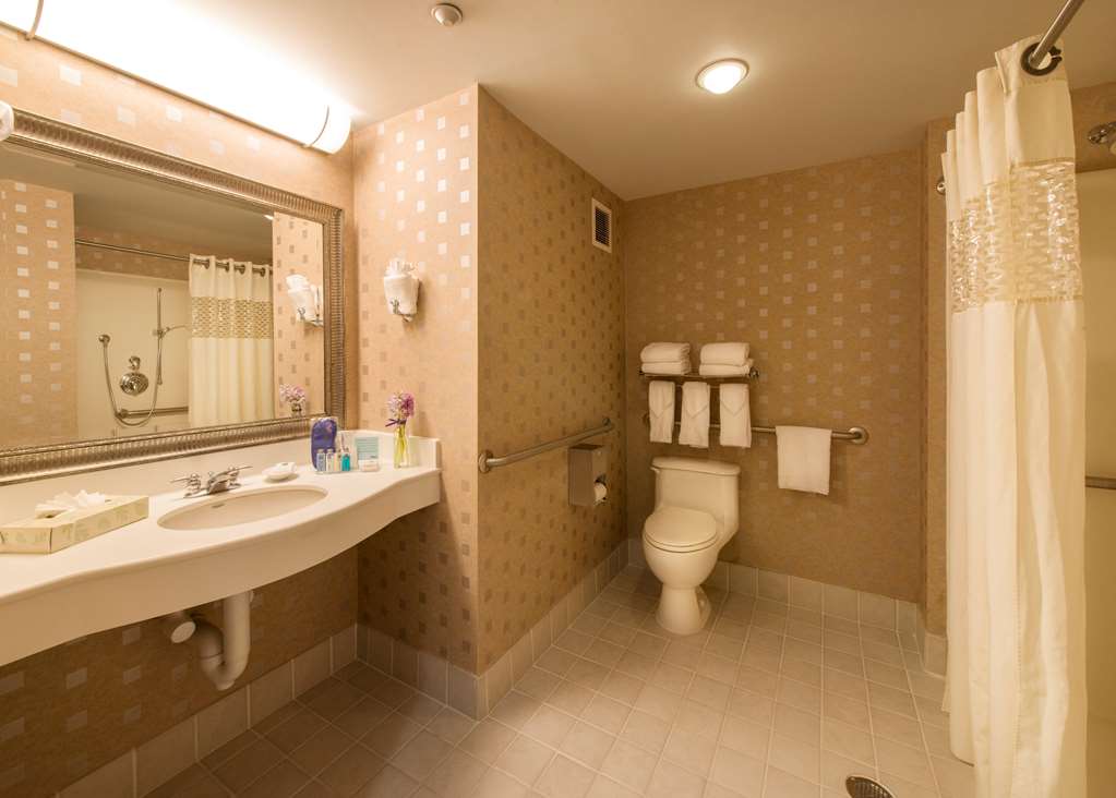 Hampton Inn & Suites Boston Crosstown Center Room Type - 1 KNG ACC 3X3 SHOWER NS