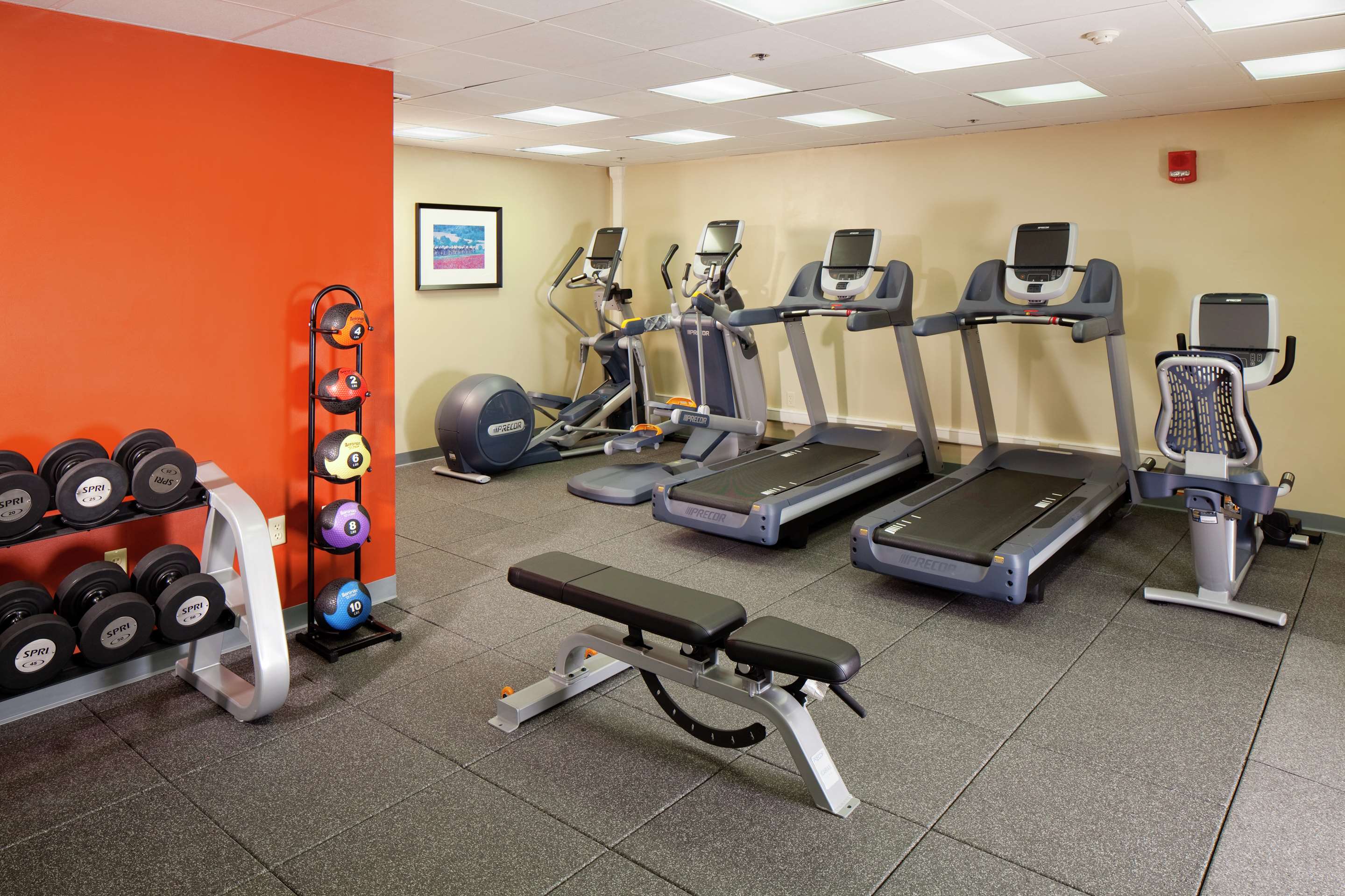 Health club fitness center gym
