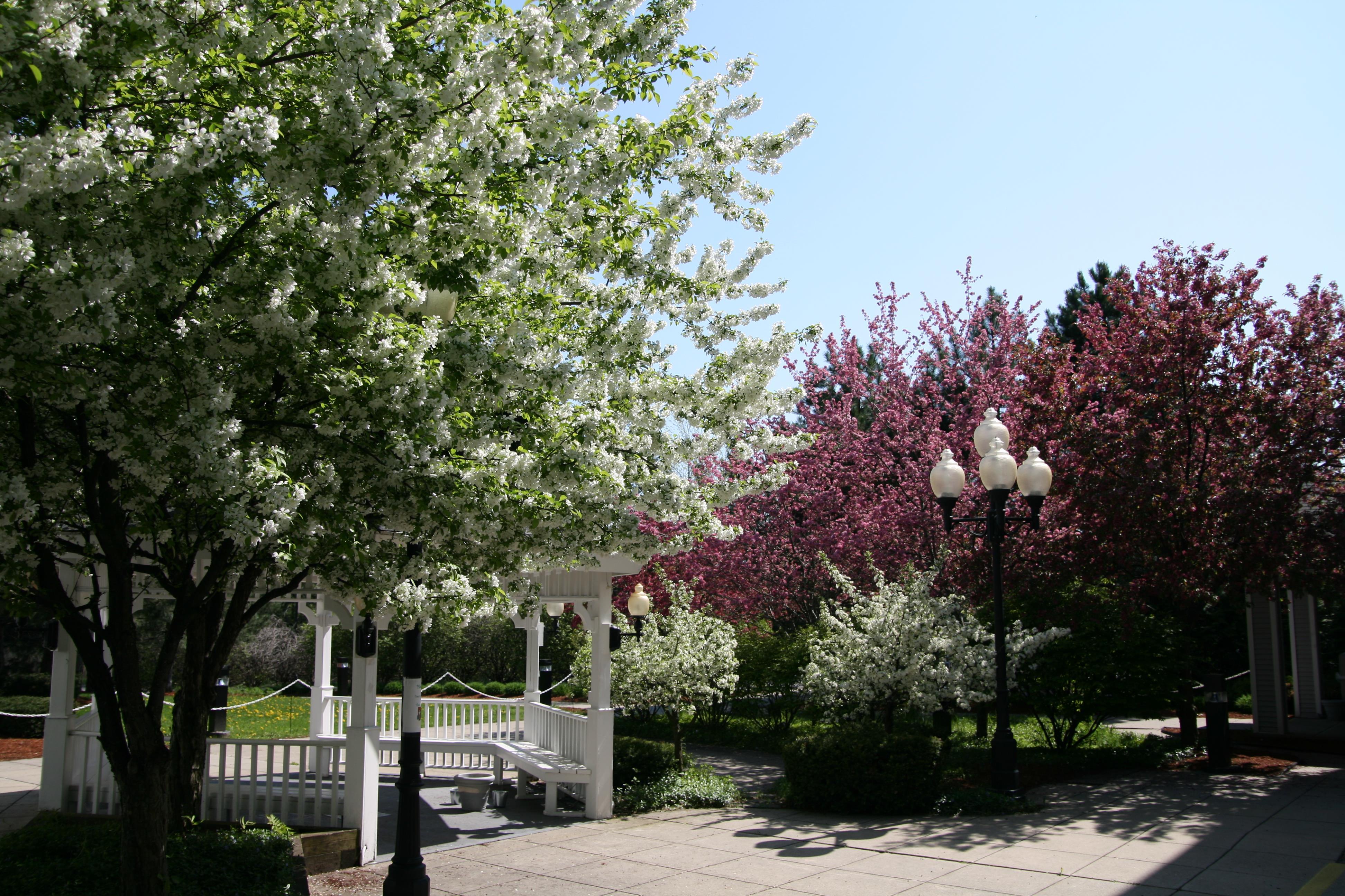 Exterior | Hampton Inn Colchester