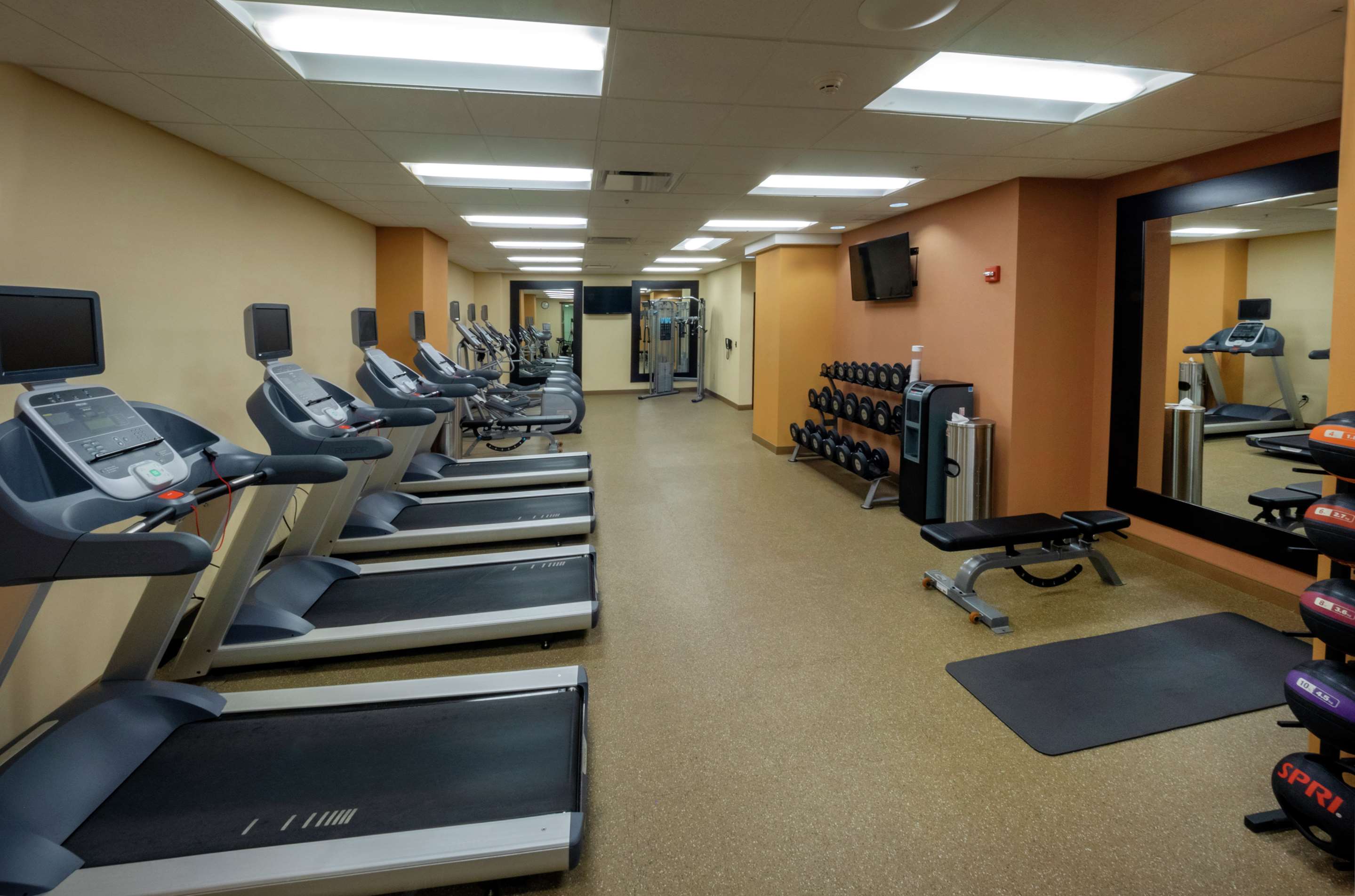 Health club fitness center gym