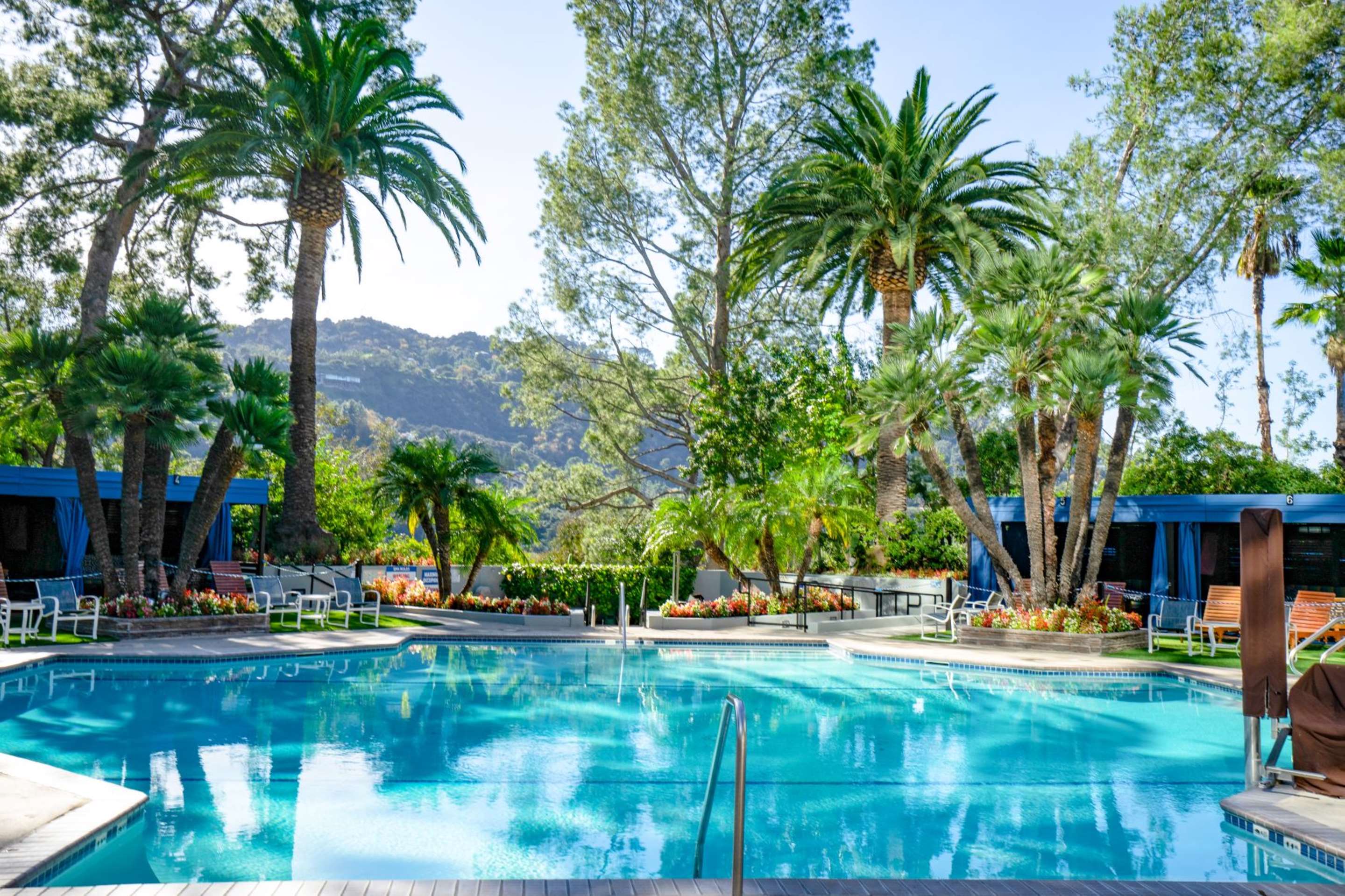 Pool | Hilton Los Angeles/Universal City