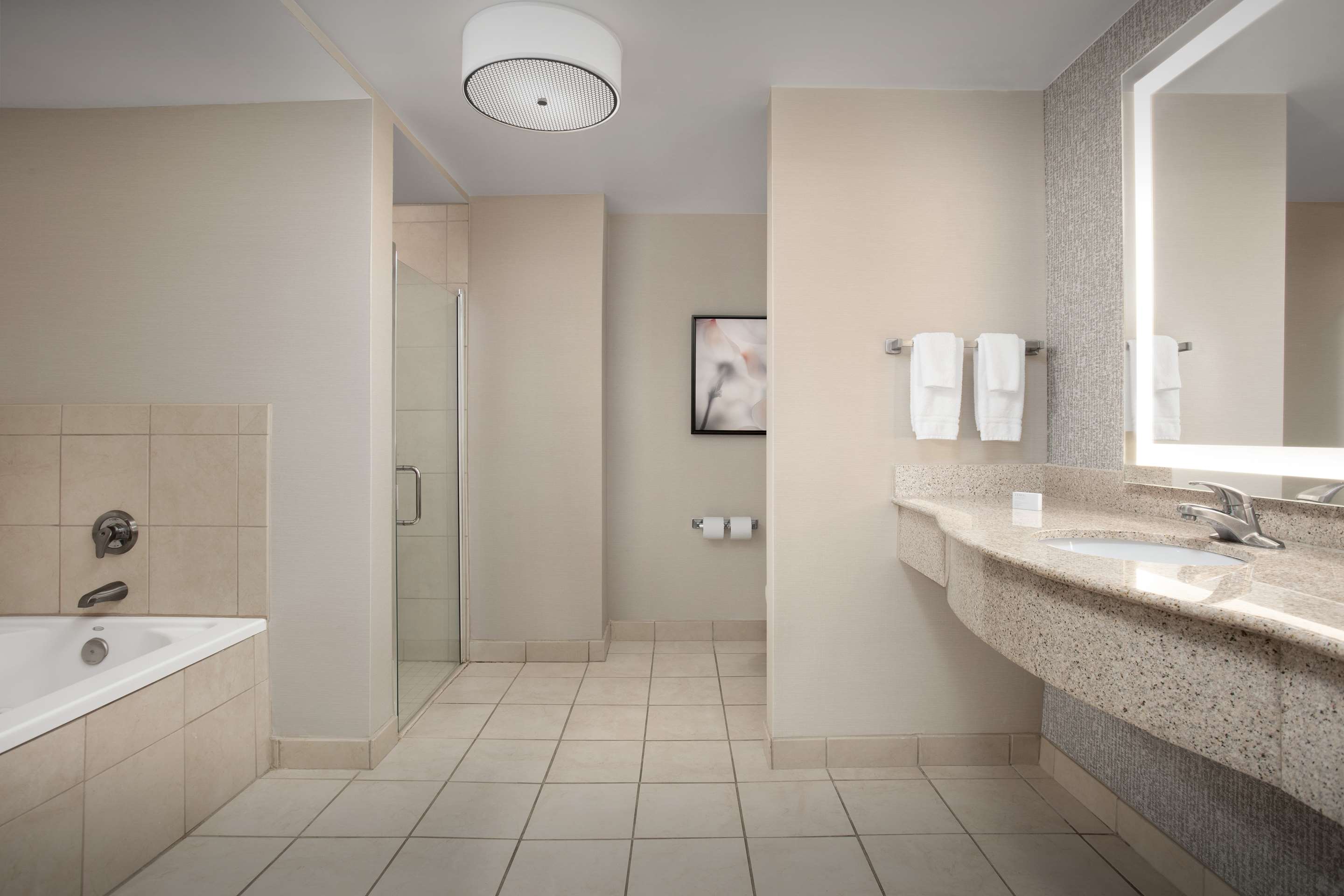 Guest room bath