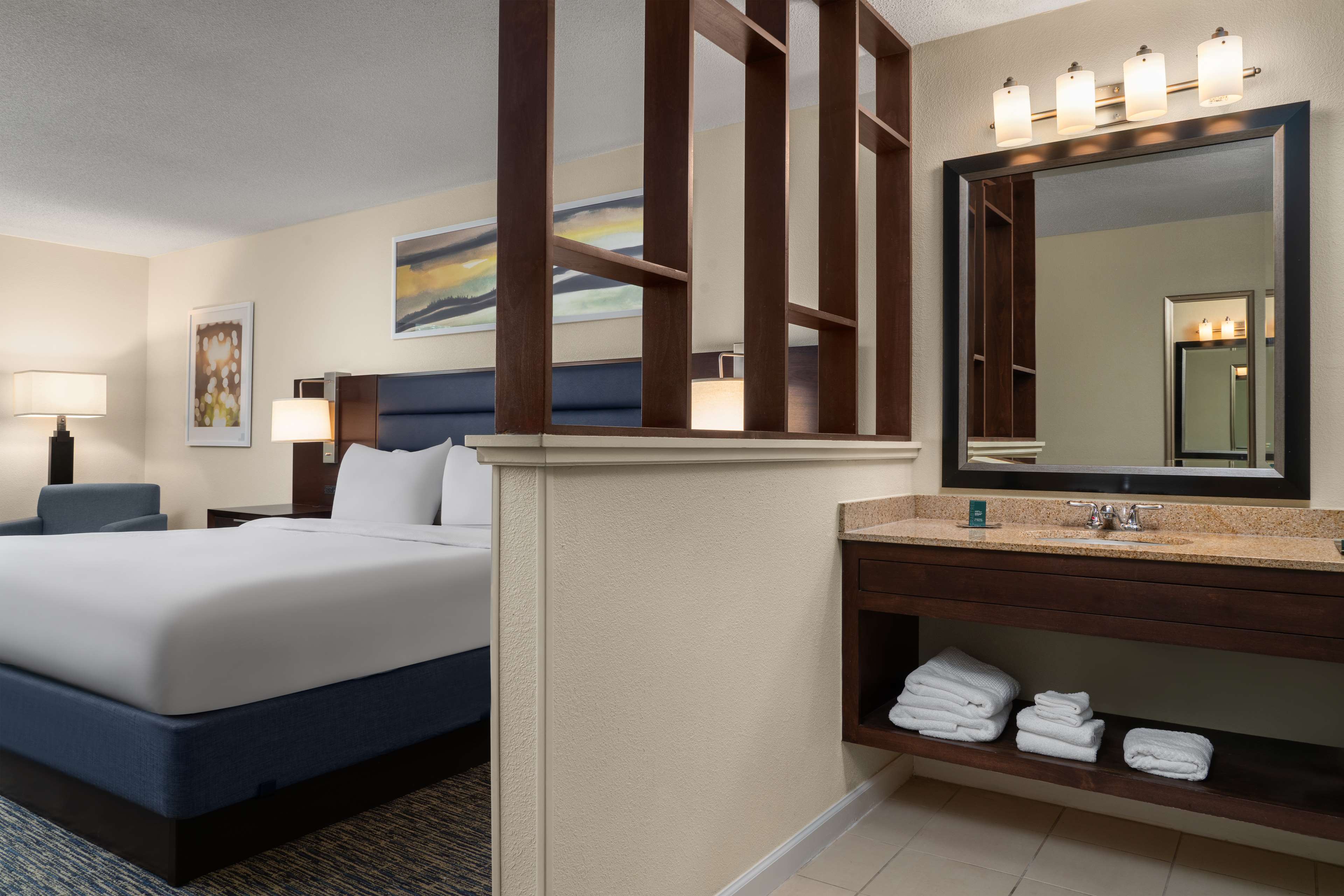 DoubleTree by Hilton Hotel Columbia Room Type - 1KNG MOB HEAR ACC W TUB