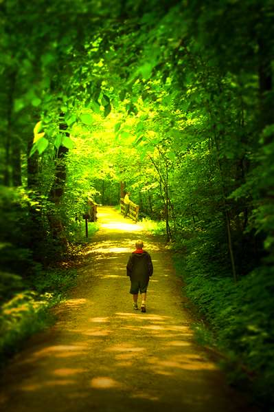 Exterior view - Hilton Hotel Fairlawn