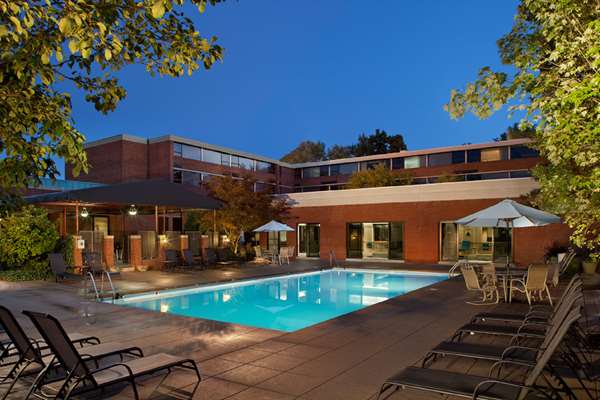 Pool - Hilton Hotel Fairlawn