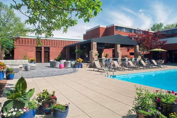 Pool - Hilton Hotel Fairlawn