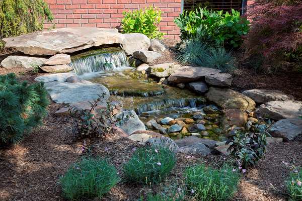 Restaurant - Hilton Hotel Fairlawn