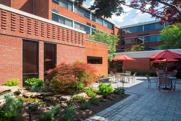 Restaurant - Hilton Hotel Fairlawn