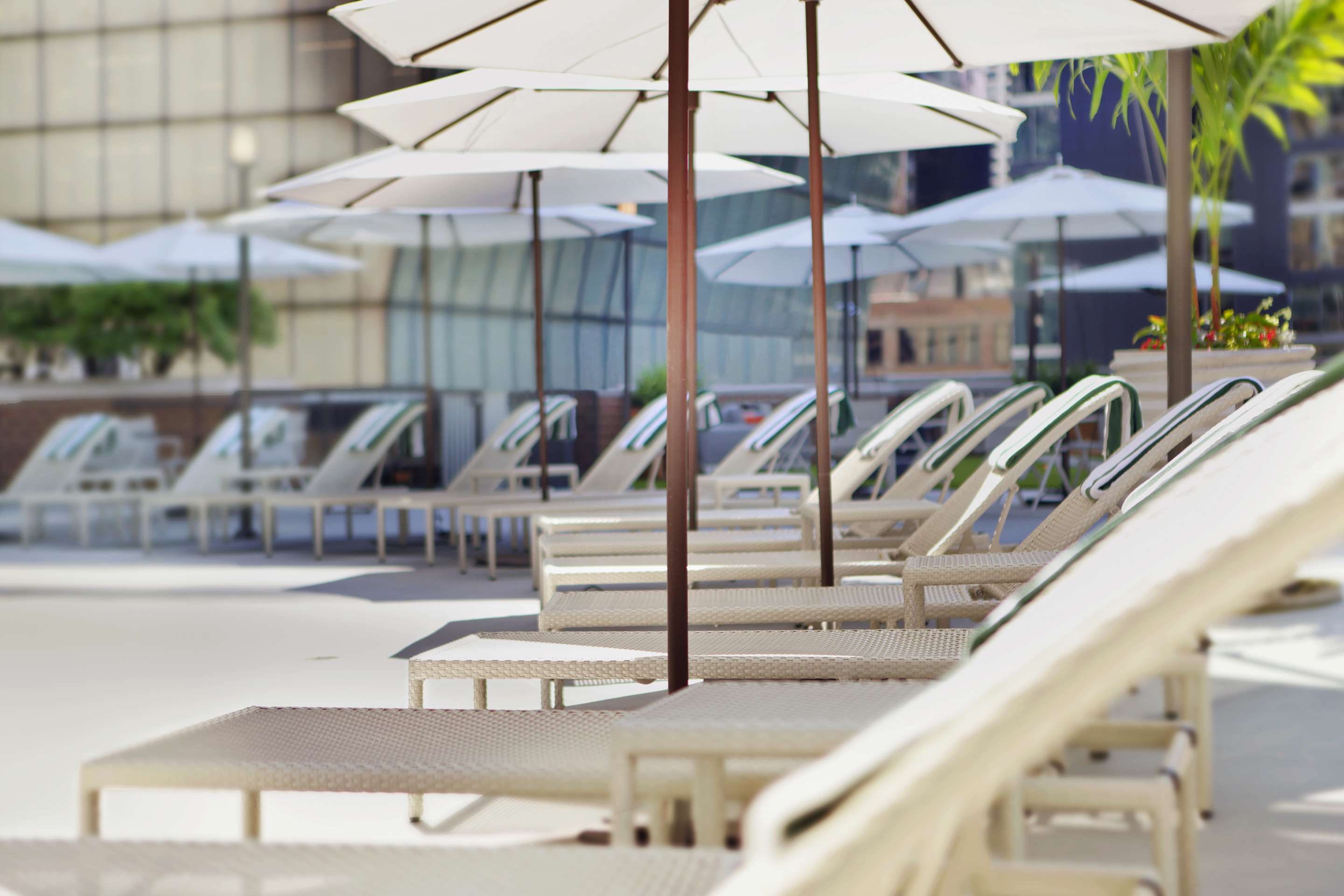 Pool | DoubleTree by Hilton Chicago - Magnificent Mile