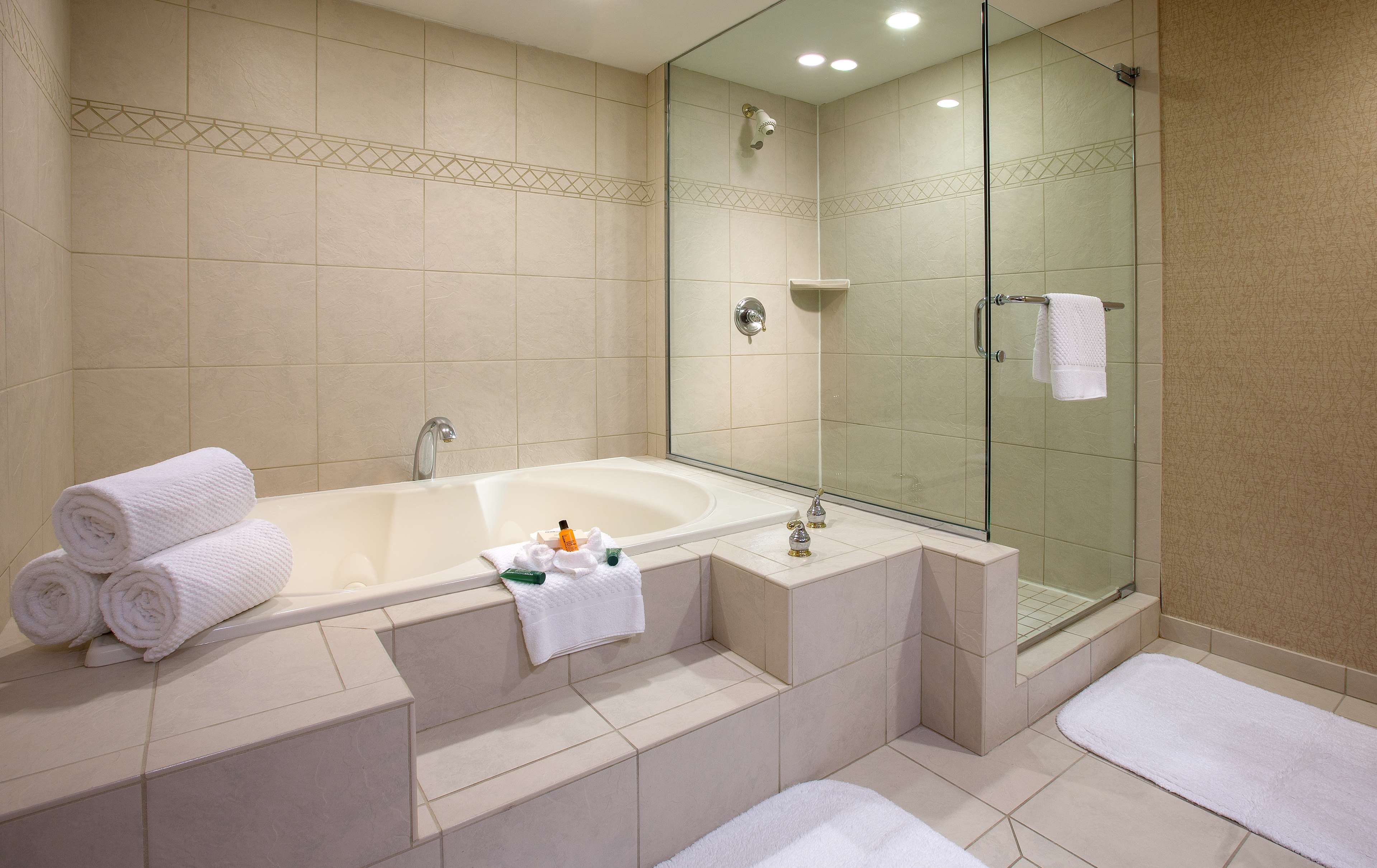 HILTON CHICAGO NORTHBROOK Room Type - 1 KING EXEC FL WHIRLPOOL