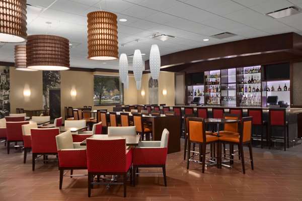 Bar - Embassy Suites O'Hare Airport Rosemont