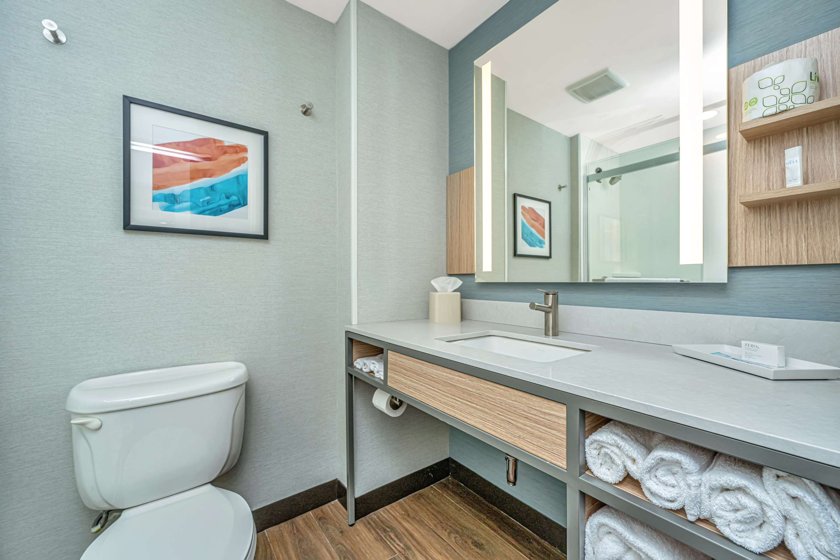 Guest room bath