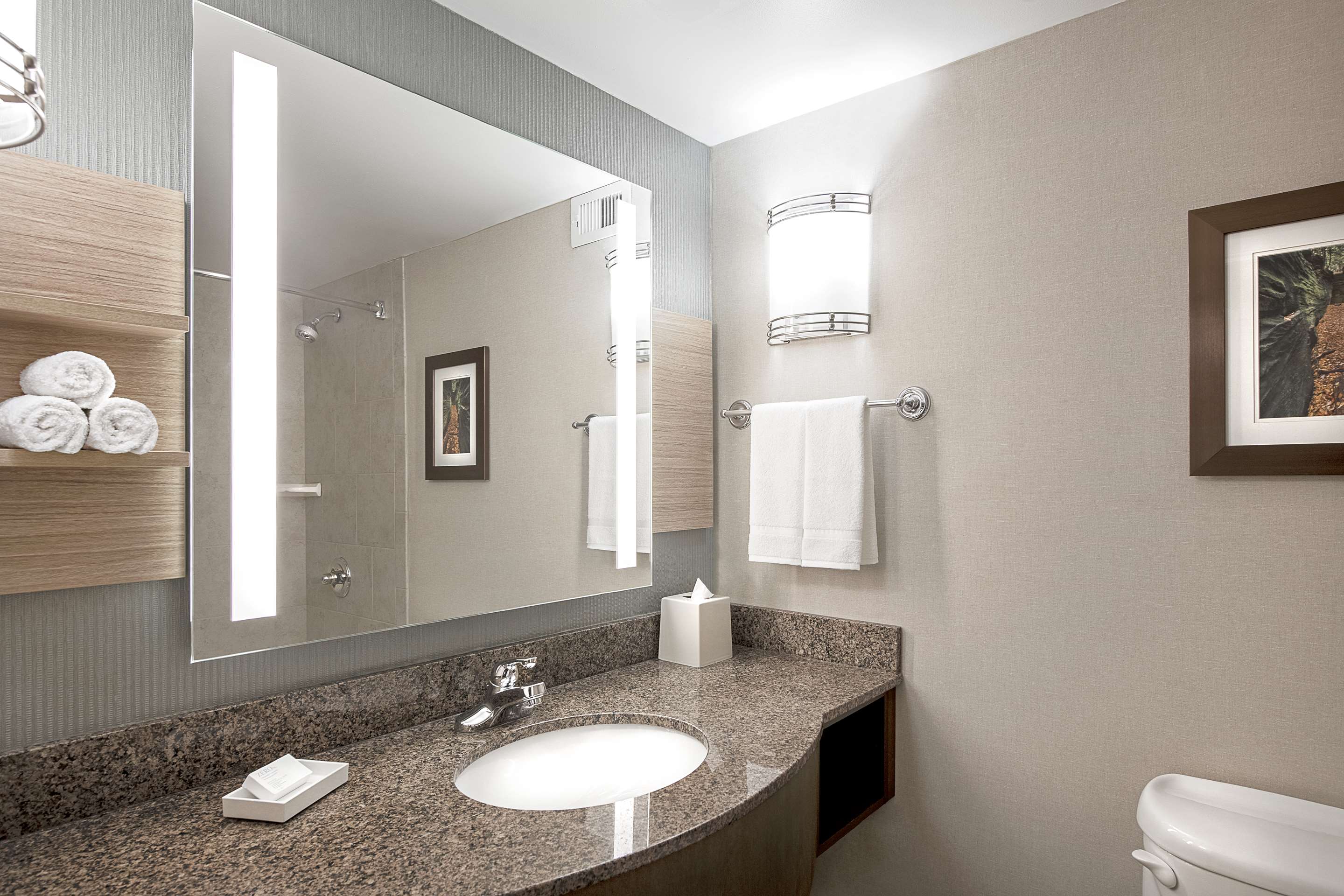Guest room bath