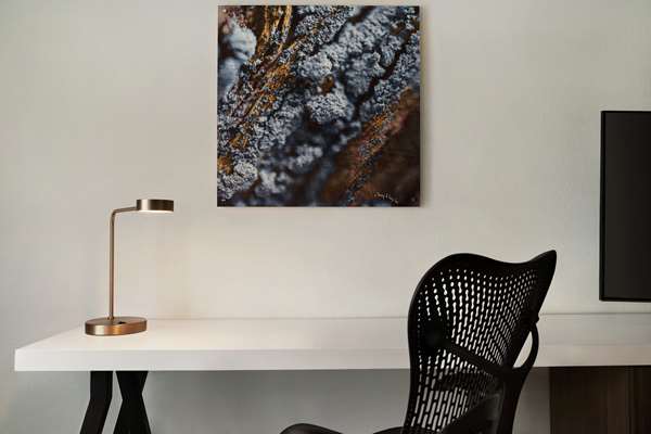  - Hilton Garden Inn Charlotte - I-485, Exit 1