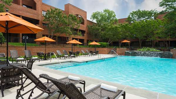 Pool - DoubleTree Suites by Hilton Hotel Charlotte