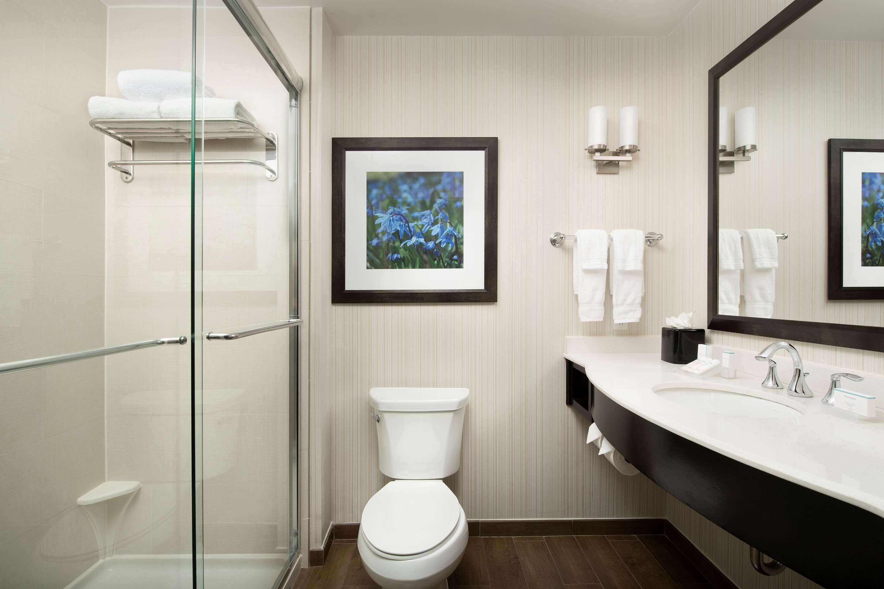 Guest room bath