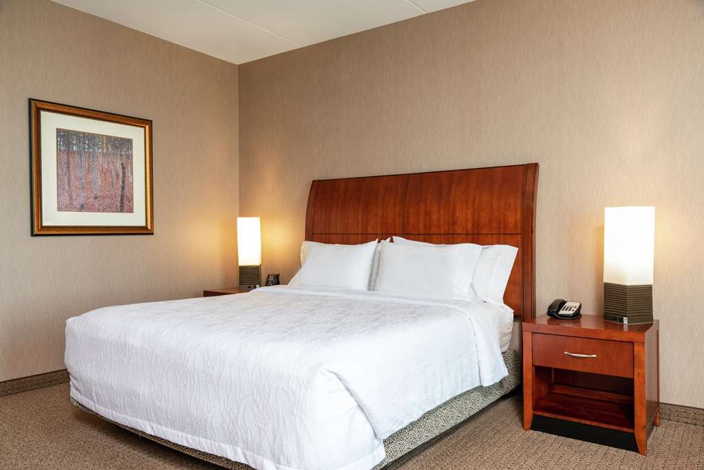 Hilton Garden Inn Columbus/Edinburgh Room Type - 1KNG WHIRLPOOL HEARING ACC