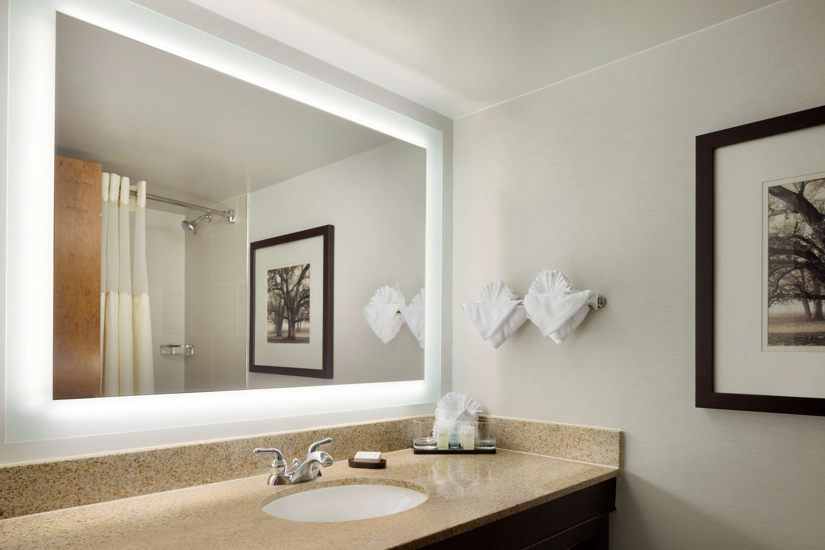 Guest room bath