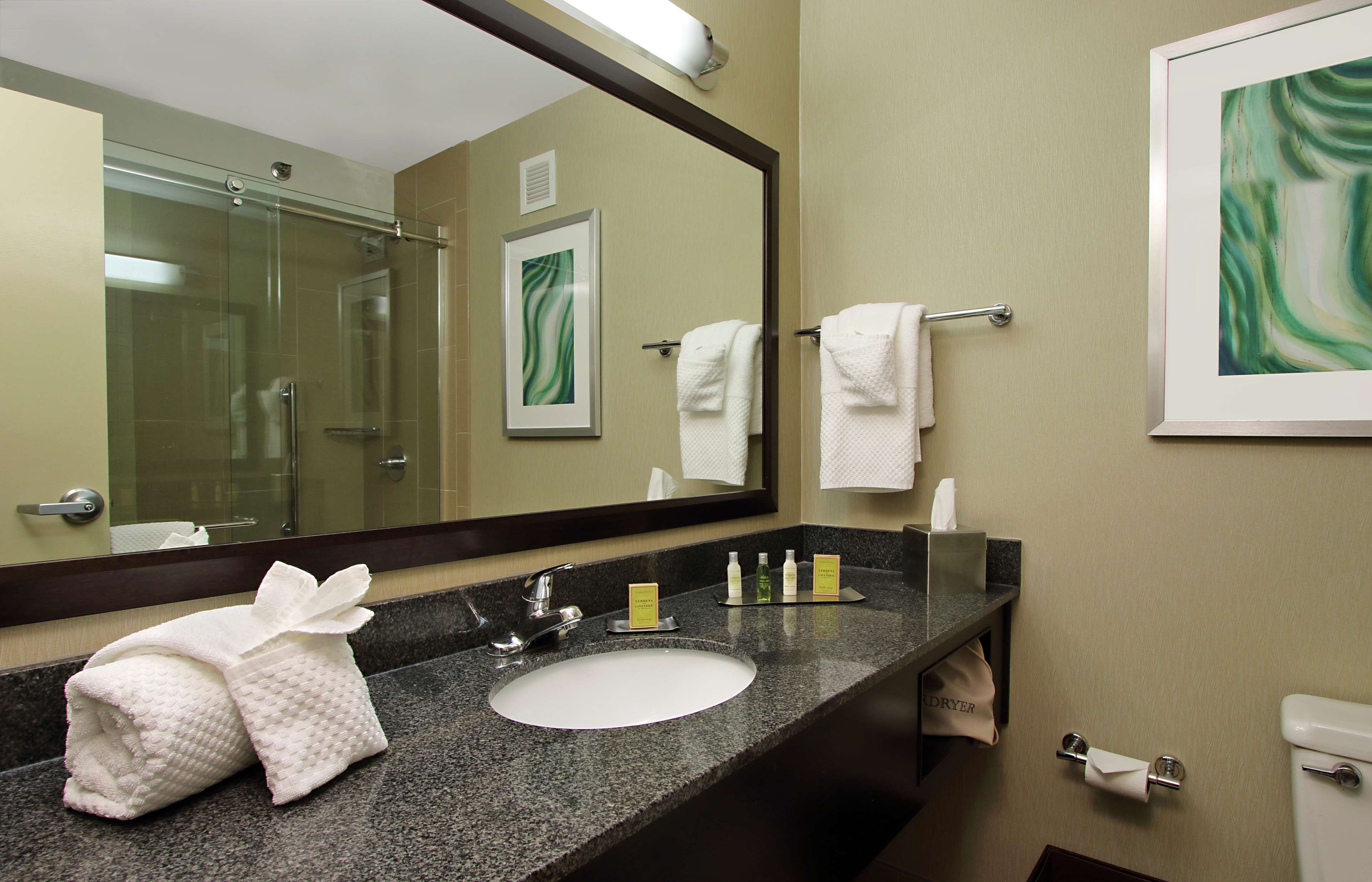 DoubleTree by Hilton Hotel Newark Ohio Room Type - 1 KING SUITE