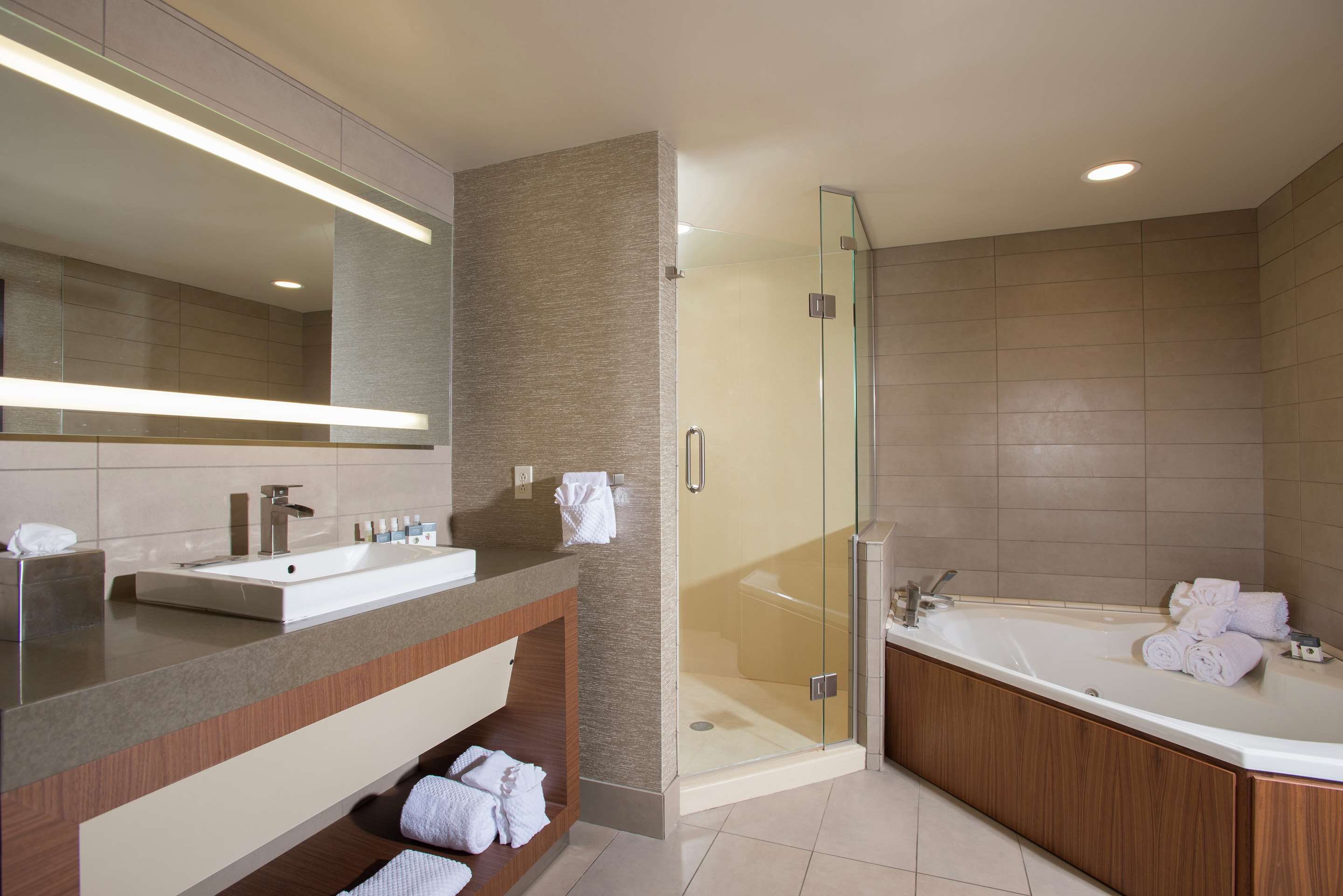 Guest room bath