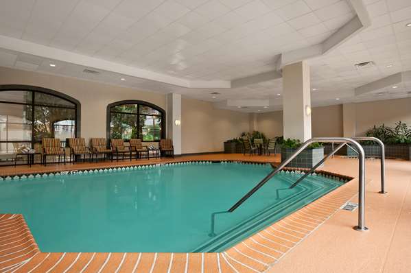 Pool - Embassy Suites Near the Galleria Dallas