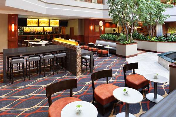 Bar - Embassy Suites Near the Galleria Dallas