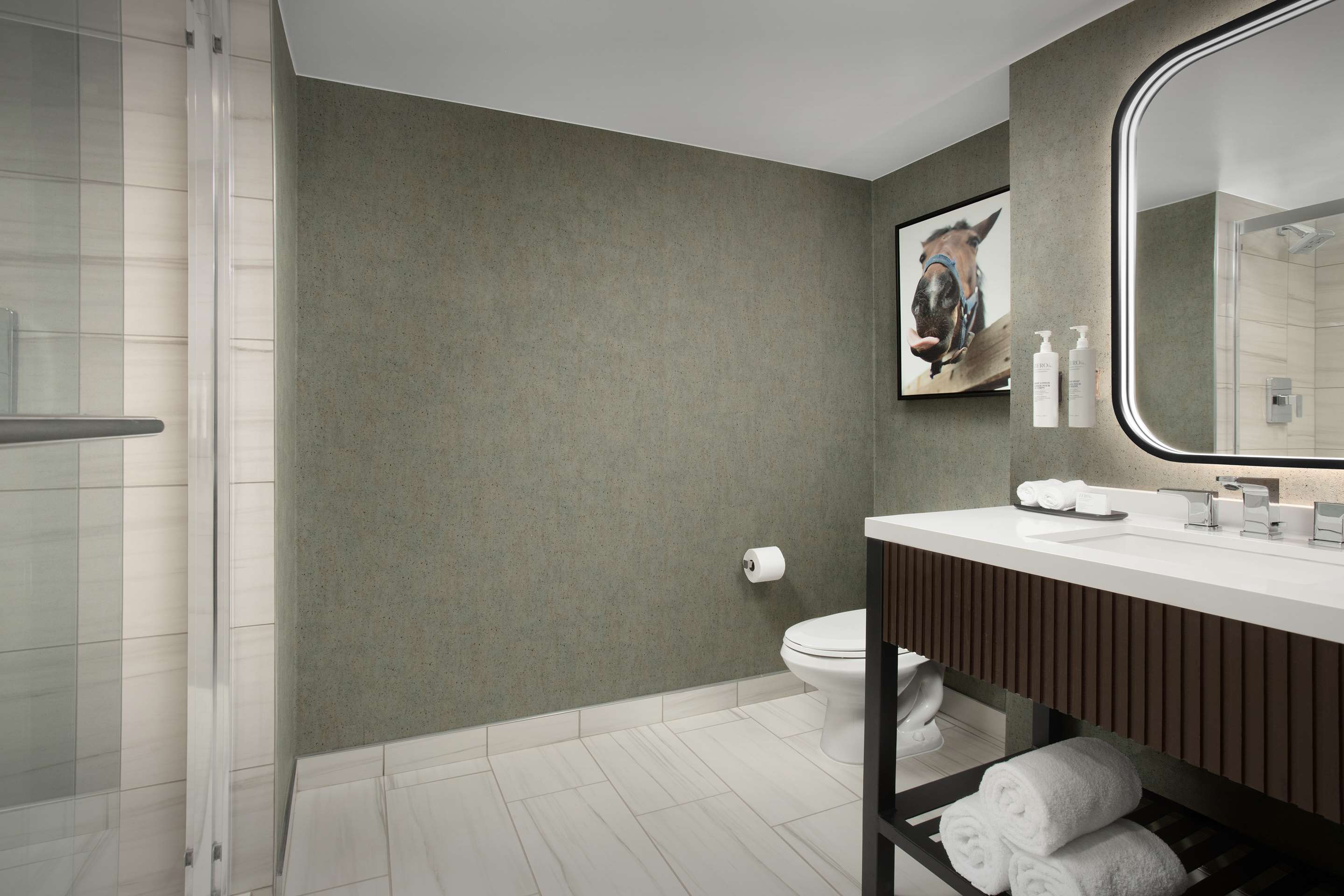 Guest room bath