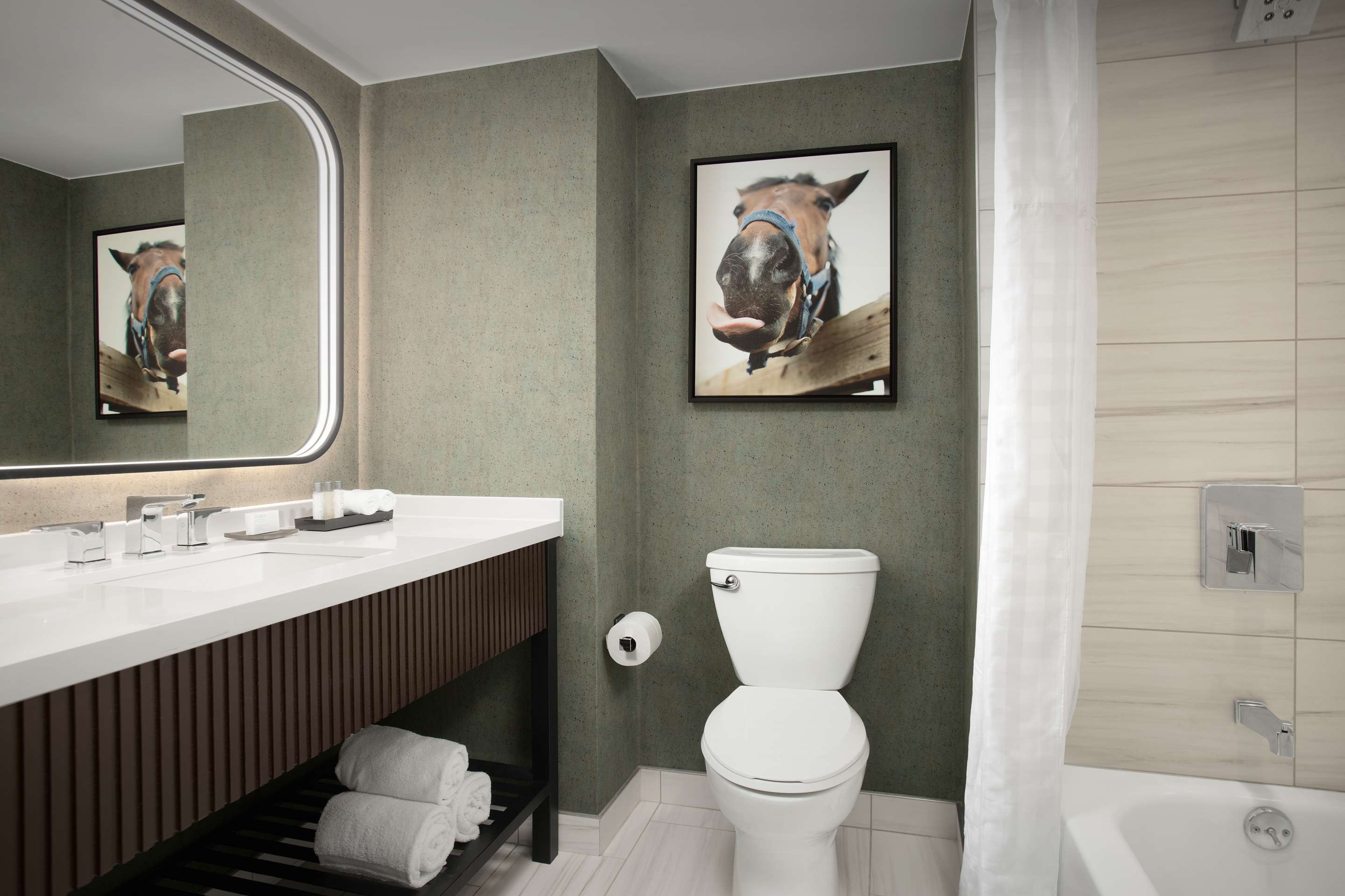 Guest room bath