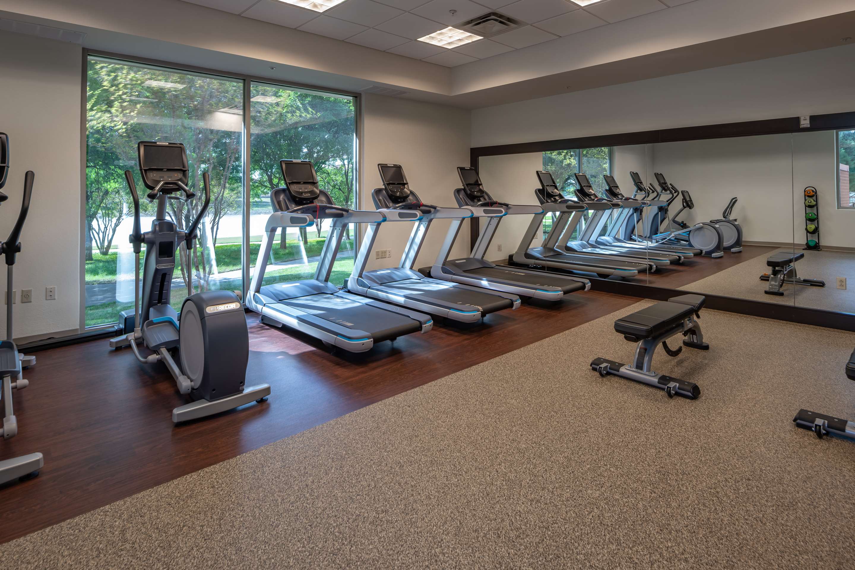 Health club fitness center gym