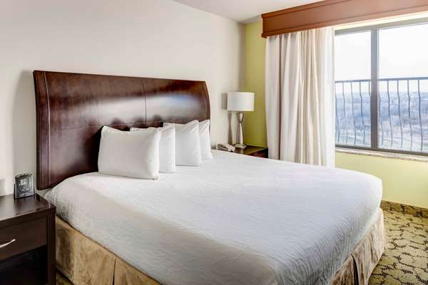  - Hilton Garden Inn Lewisville