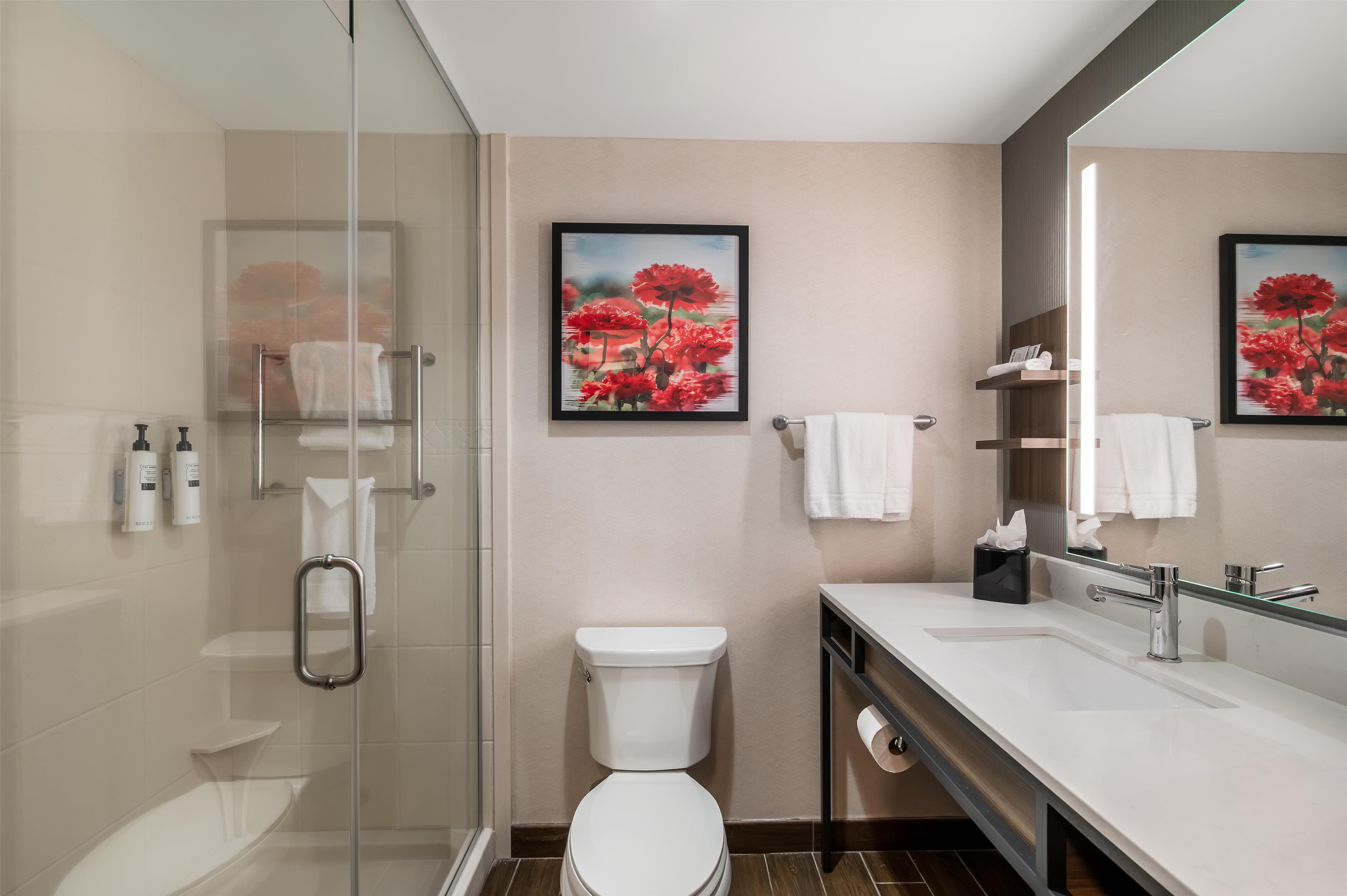 Guest room bath