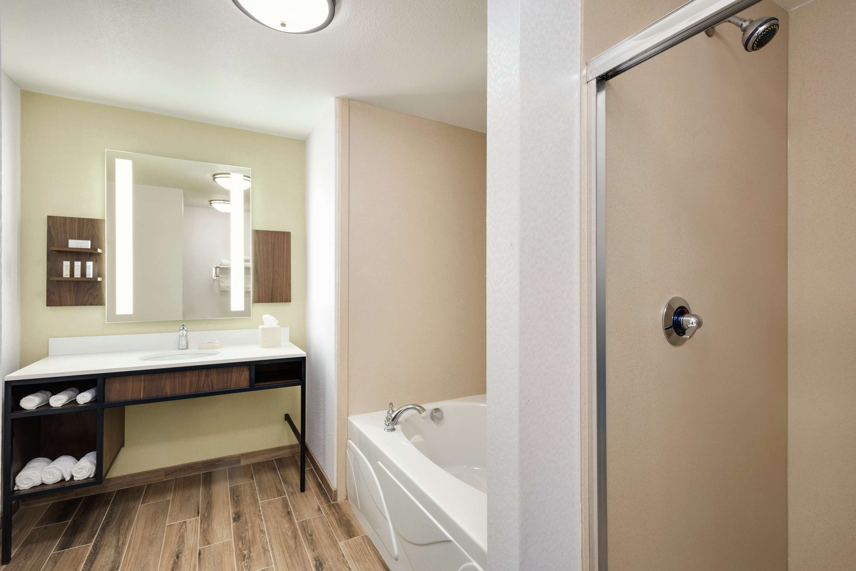 Guest room bath