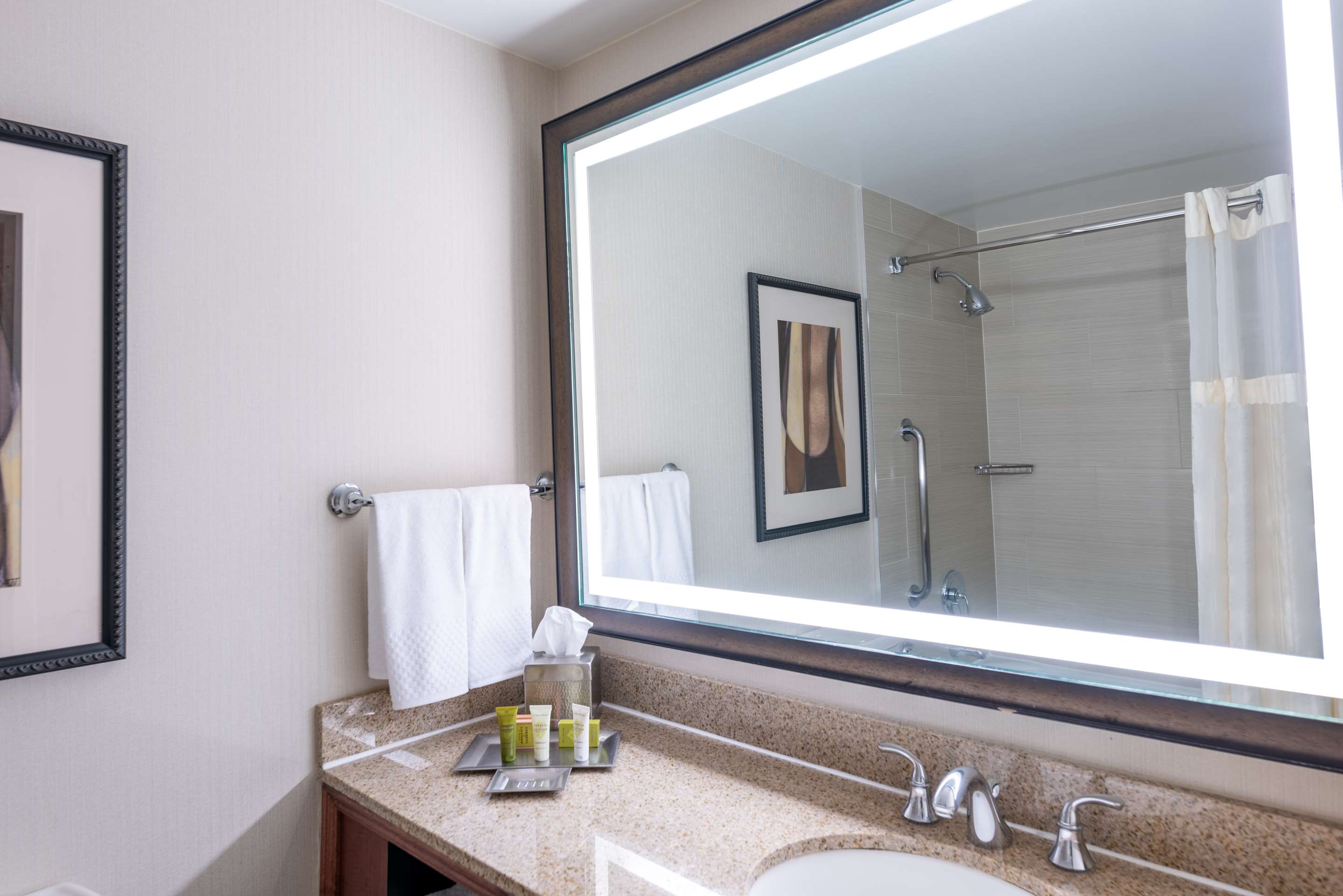 Guest room bath