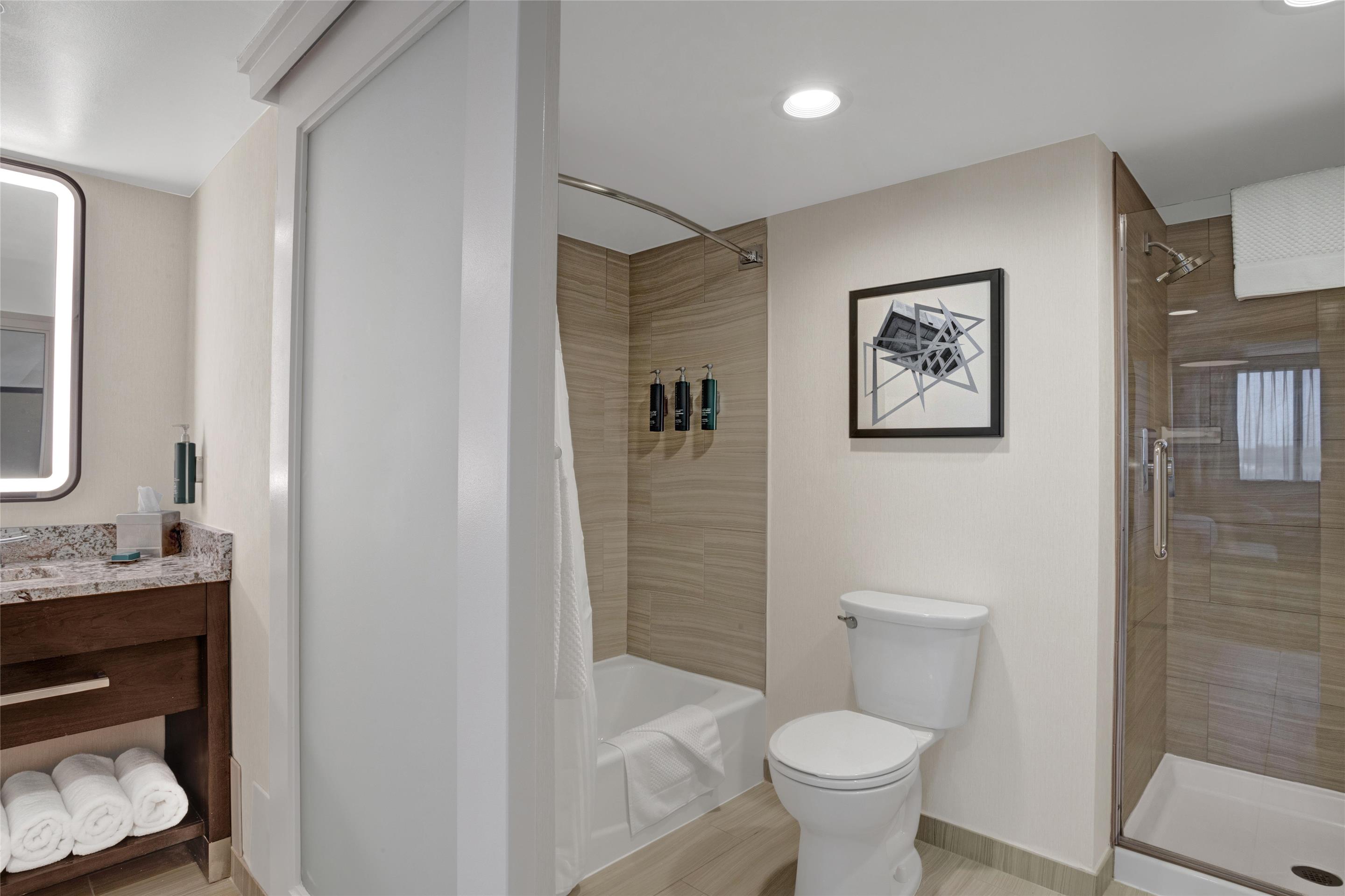 Guest room bath