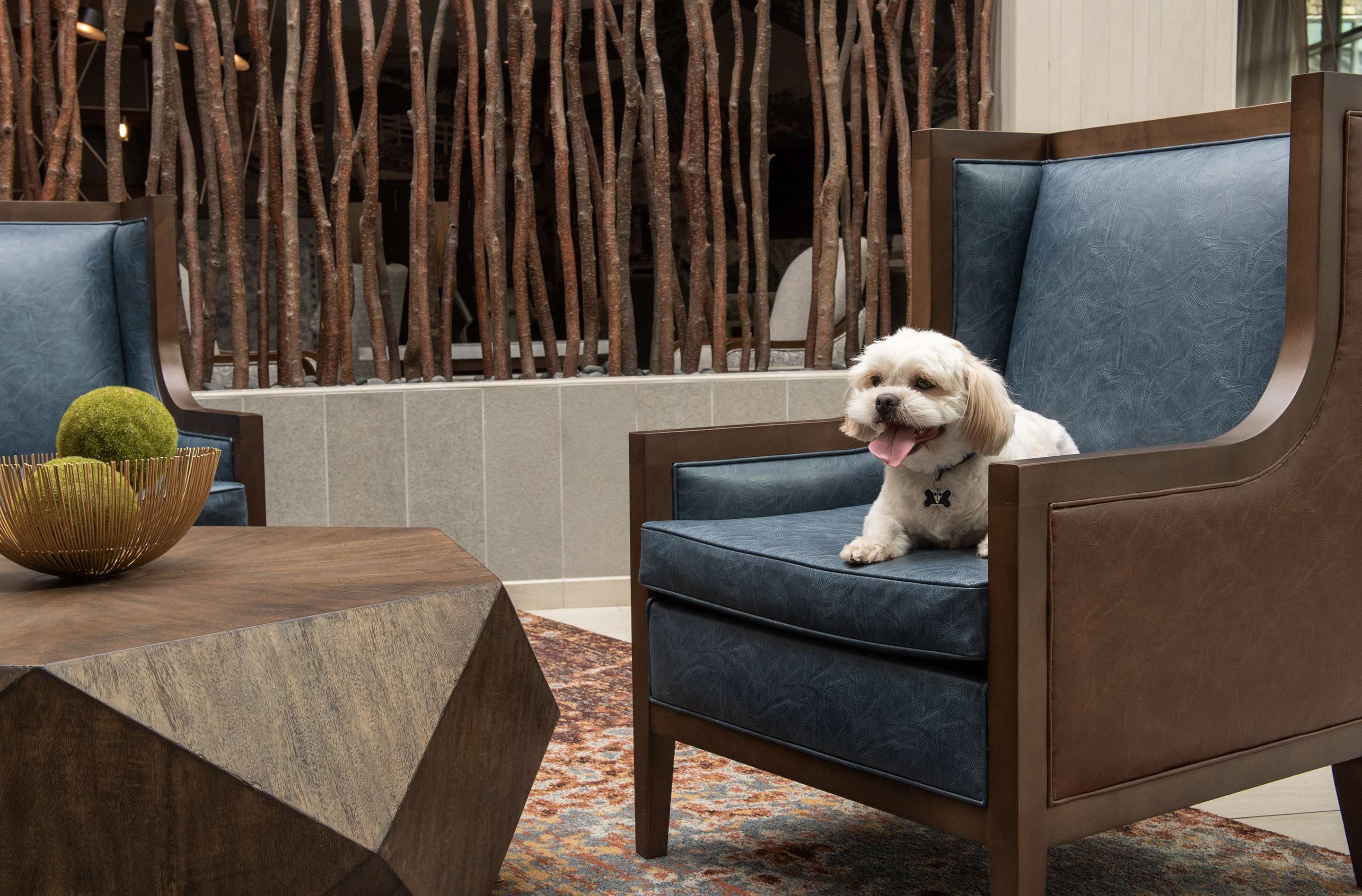 Miscellaneous | Embassy Suites by Hilton Springfield