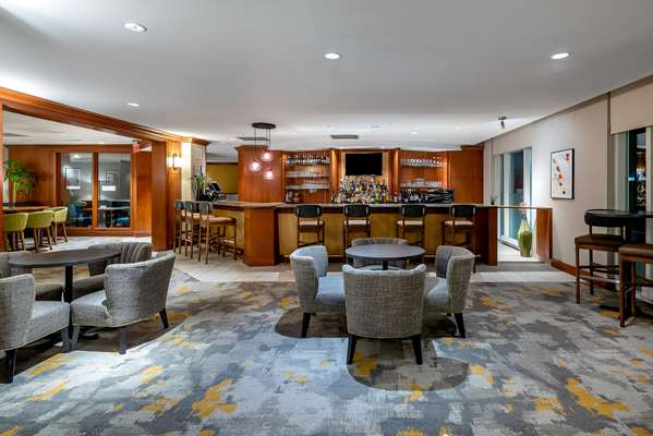 Bar - Hilton Garden Inn Tysons Corner Vienna