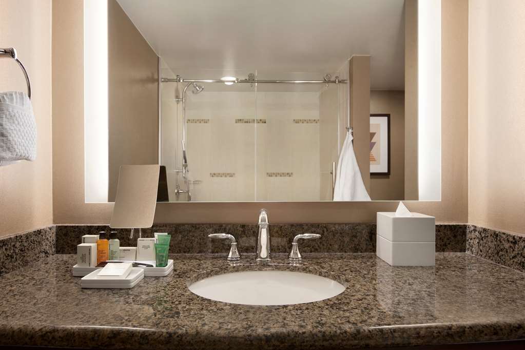 Hilton Arlington Room Type - 1KNG 1BDRM EXEC STE