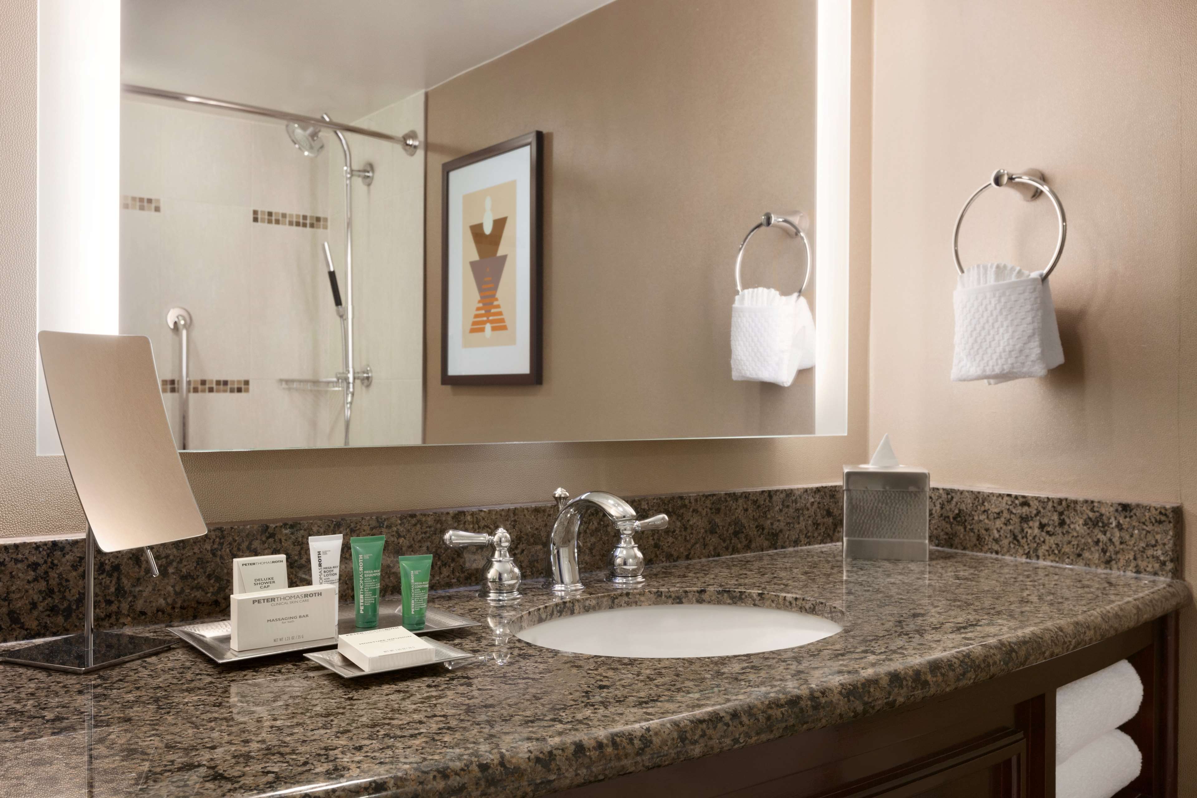 Hilton Arlington Room Type - 2 DOUBLE HEARING ACC