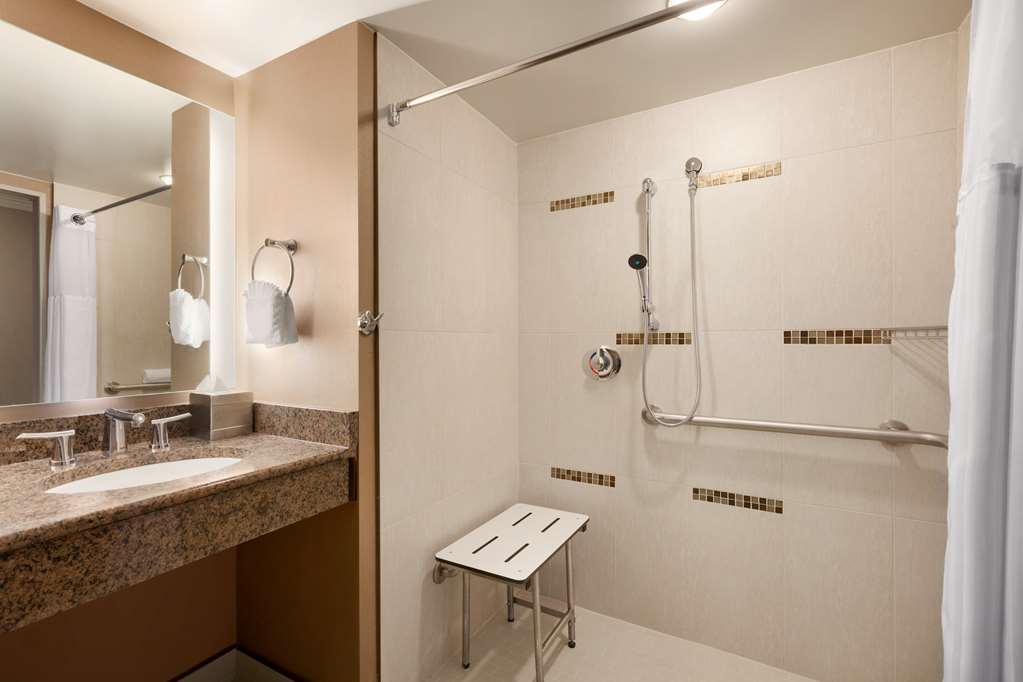 Hilton Arlington Room Type - 1 KING ACC W  RI SHWR
