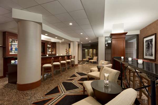 Bar - Hilton Hotel Arlington & Towers - I-66, Exit 71