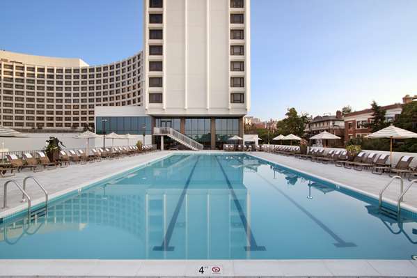 Pool - Washington Hilton Hotel DC